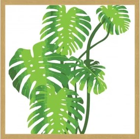Obraz v ráme Zelené listy, 40x40 cm%