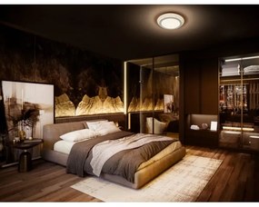 Ledvance - LED Stropné svietidlo ORBIS SPIRAL LED/38W/230V