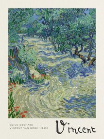 Obrazová reprodukcia Olive Orchard - Vincent van Gogh