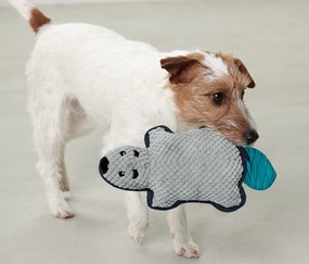 Plyšová hračka pre psy  »Bobor«