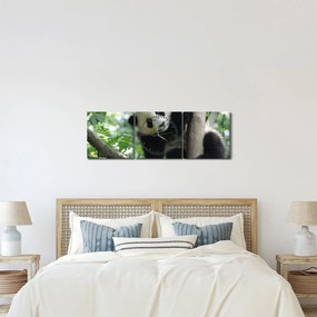 Obraz - Panda na strome (s hodinami) (90x30 cm)