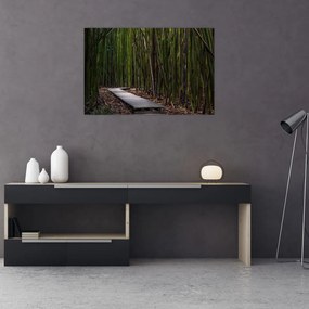 Obraz - Medzi bambusy (90x60 cm)