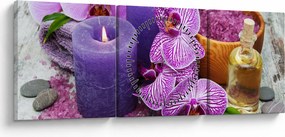 Obraz orchideí a sviečok (s hodinami) (90x30 cm)