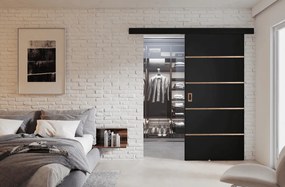 Posuvné dvere WERDI PLUS | 100 cm Farba: Čierna