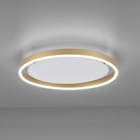 Leuchten Direkt 15392-60 - LED Stmievateľné stropné svietidlo RITUS LED/30W/230V