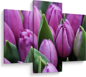 Obraz - kvety tulipánov (90x60 cm)