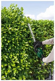 Parkside®  Aku nožnice na živý plot Phsa 20-Li C3 – bez akumulátora  (100393754)