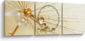 Obraz - Makro fotografie púpavy (s hodinami) (90x30 cm)