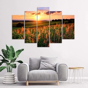 Obraz na plátně pětidílný Západ slunce Květiny louka - 100x70 cm