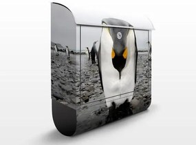 Poštová schránka Tučniak