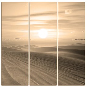 Obraz na plátne - Púštny západ slnka - štvorec. 3917FB (105x105 cm)