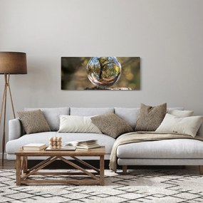 Obraz - Odraz v sklenenej guli (120x50 cm)
