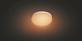 PHILIPS HUE Prisadené stropné LED inteligentné osvetlenie HUE FLOURISH s funkciou RGB, 32W, teplá biela-studená