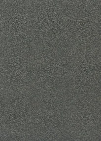 Koberce Breno Metrážny koberec OPTIMA SDE NEW 196, šíře role 400 cm, sivá
