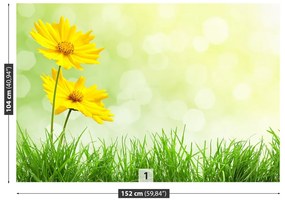 Fototapeta Vliesová Žlté kvety 104x70 cm
