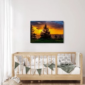 Obraz - ihličnany (90x60 cm)