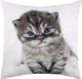 Dekoračný vankúšik Mačiatko s modrými očami, 25x25 cm%