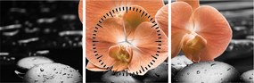 Obraz - Oranžové orchidey (s hodinami) (90x30 cm)
