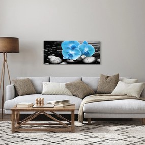 Obraz - Modrá orchidea (120x50 cm)