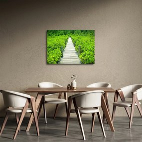 Obraz - drevený chodník (70x50 cm)