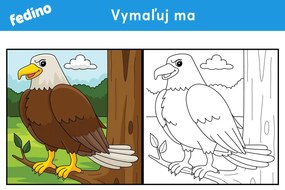 Omaľovánky – balík 2(20ks) – platený