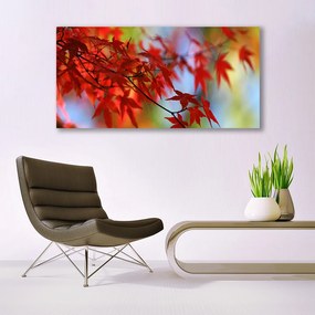 Obraz na akrylátovom skle Listy príroda 120x60 cm