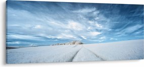 Obraz poľa (120x50 cm)