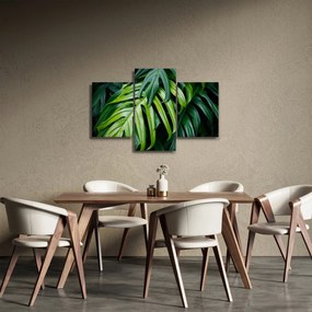 Obraz - Tropické listy (90x60 cm)