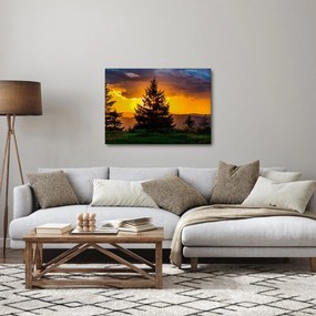 Obraz - ihličnany (70x50 cm)