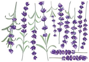 Sada samolepiek na stenu Ambiance Levanders