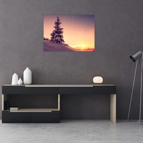 Sklenený obraz zasneženého stromu na lúke (70x50 cm)