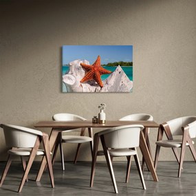 Obraz morskej hviezdice (90x60 cm)