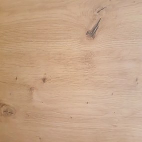 Šatníková skriňa Carlos, dub artisan, 100 cm