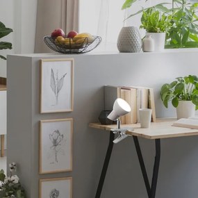 Rabalux 1480 - LED Lampa s klipom NOAH LED/5W/230V