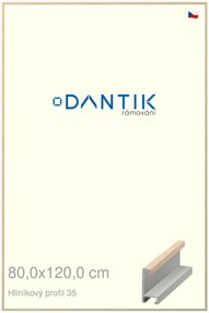 DANTIK rám na obraz 80x120 | ALU Dýha dub raw (Plexi Čiré)