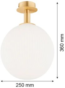 Argon 8505 - Stropné svietidlo PALOMA 1xE27/15W/230V zlatá/biela