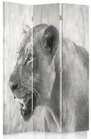 Gario Paraván Lioness Rozmery: 110 x 170 cm, Prevedenie: Klasický paraván