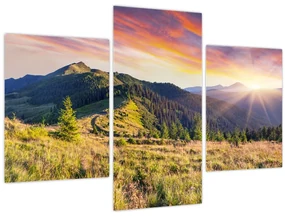 Obraz - Lesná krajina (90x60 cm)