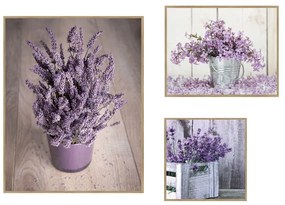 Obrazy v súprave 3 ks 40x50 cm Purple Flowers – knor