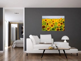 Obraz - Slnečnica (90x60 cm)