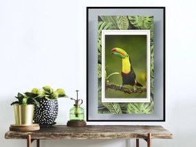 Plagát v ráme-Toucan in the Frame