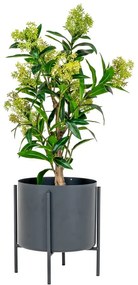 Umelá rastlina Skimmia – House Nordic