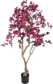 Stromček s ružovými kvetmi Bougainvillea Tree - 80*80*180 cm