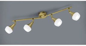 TRIO - Bodové svietidlo TRUMPET 4xE14/40W/230V