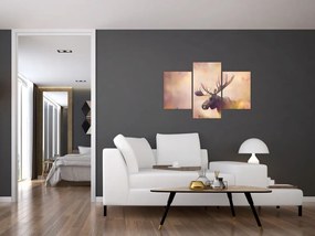 Obraz - Sob v jesennom lístí (90x60 cm)