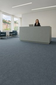 Lentex, PVC podlaha - lino Flexar PUR 542-02 tm. šedá, na mieru, šíře 2m,4m, šedá, bez podkladu, kancelária