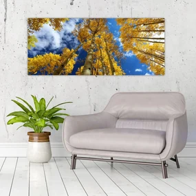 Obraz - Aspen (120x50 cm)