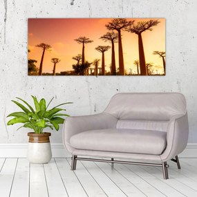 Obraz - Západ slnka v uličke Baobab (120x50 cm)
