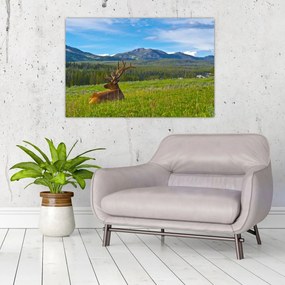 Obraz - Jeleň v lúke (90x60 cm)