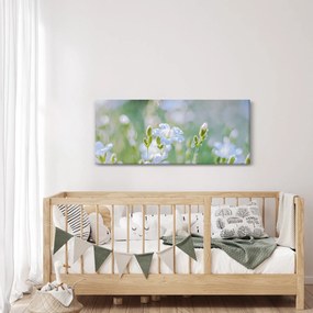 Obraz - Jemné kvety (120x50 cm)
